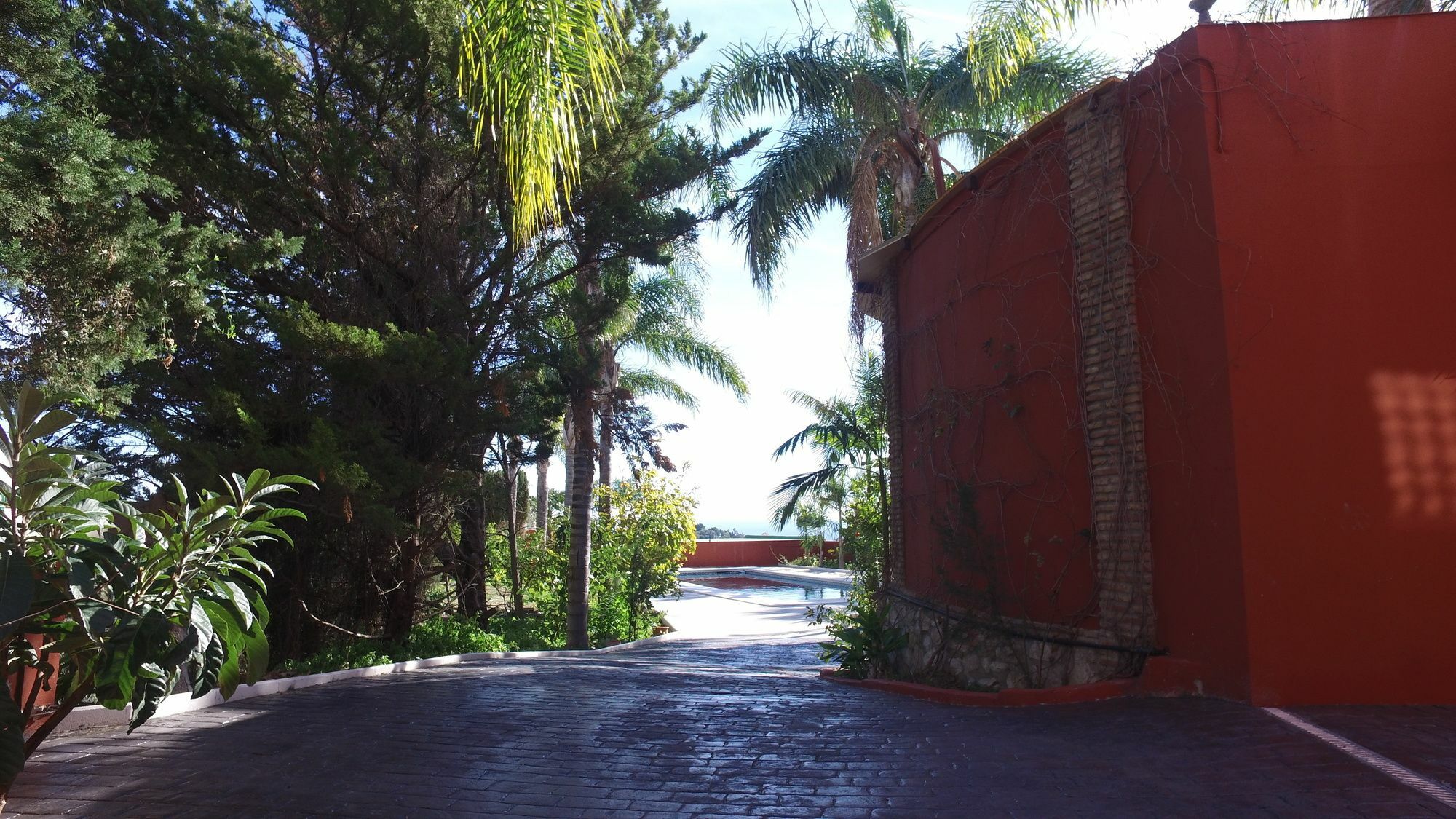 Finca La Vida Loca เบนัลมาเดนา ภายนอก รูปภาพ