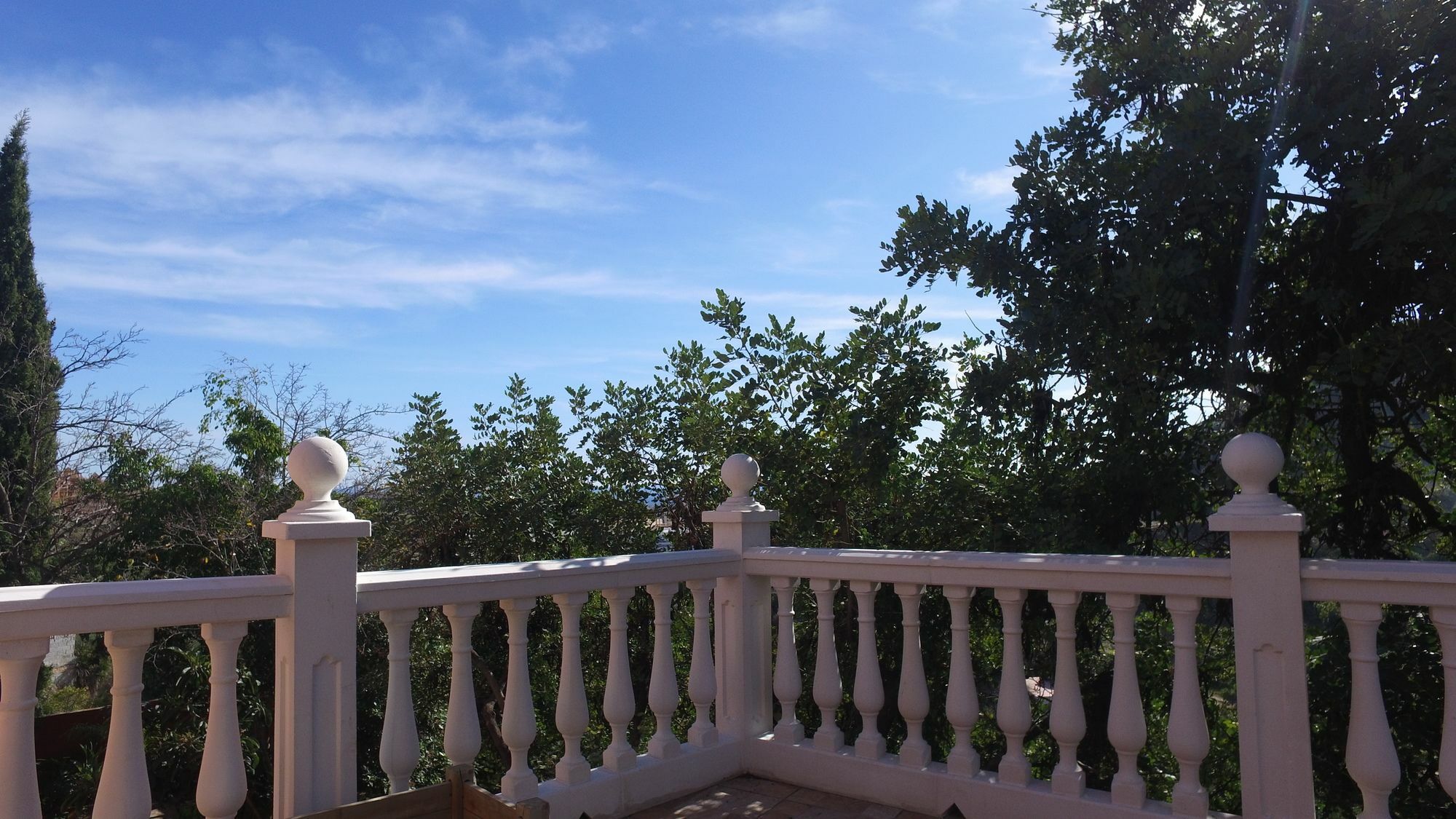 Finca La Vida Loca เบนัลมาเดนา ภายนอก รูปภาพ